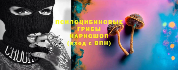 а пвп мука Надым